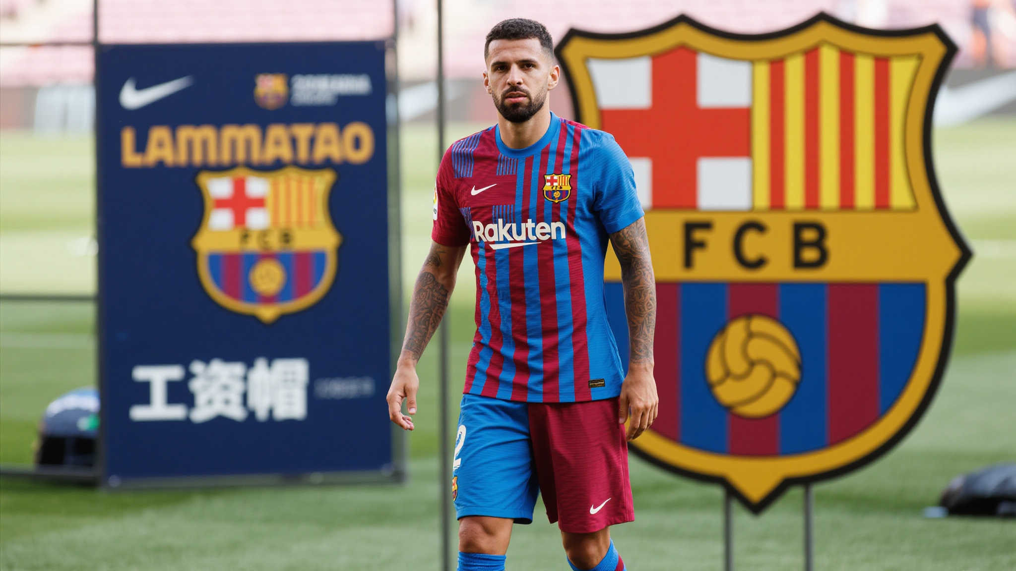 运动营养品研发