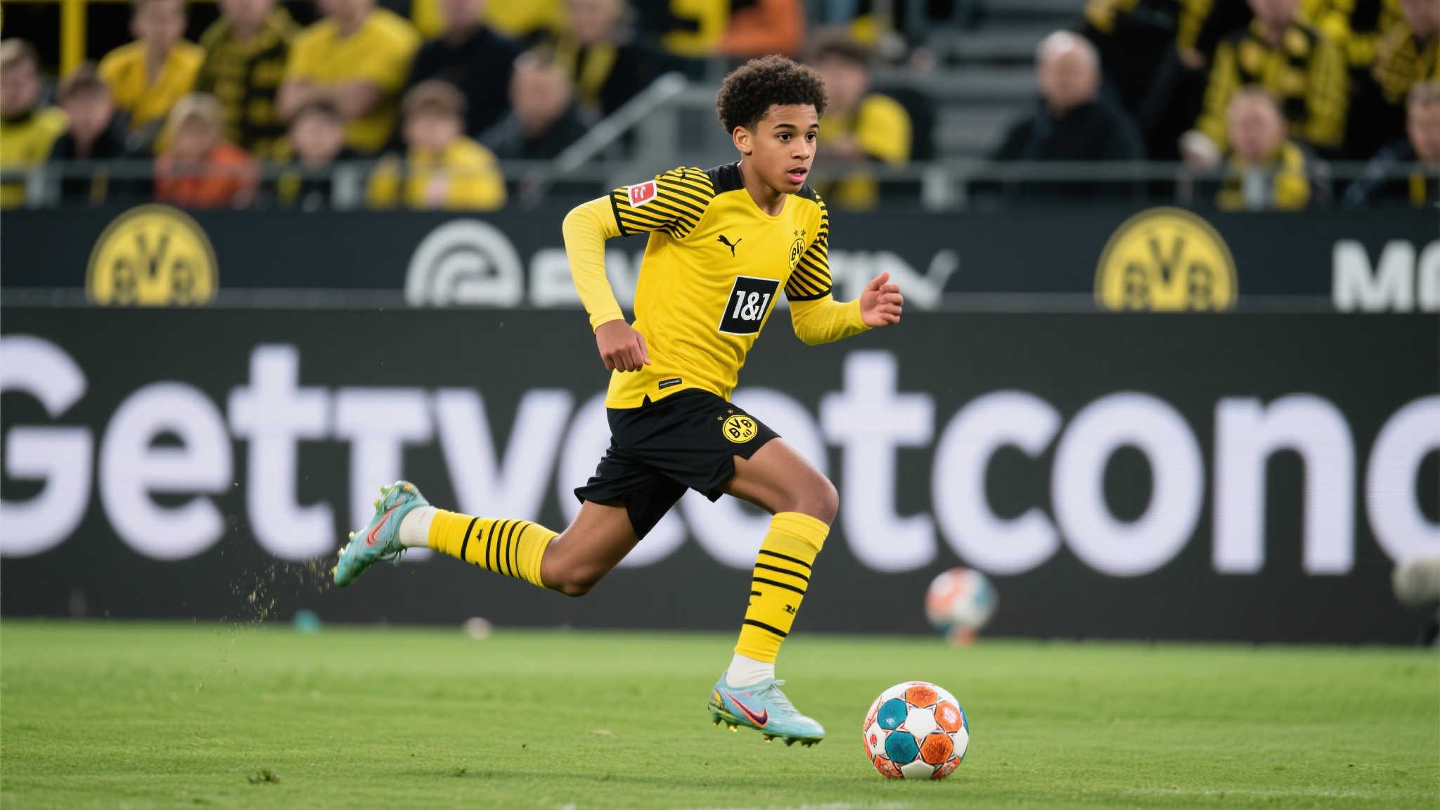 传统体育文化保护